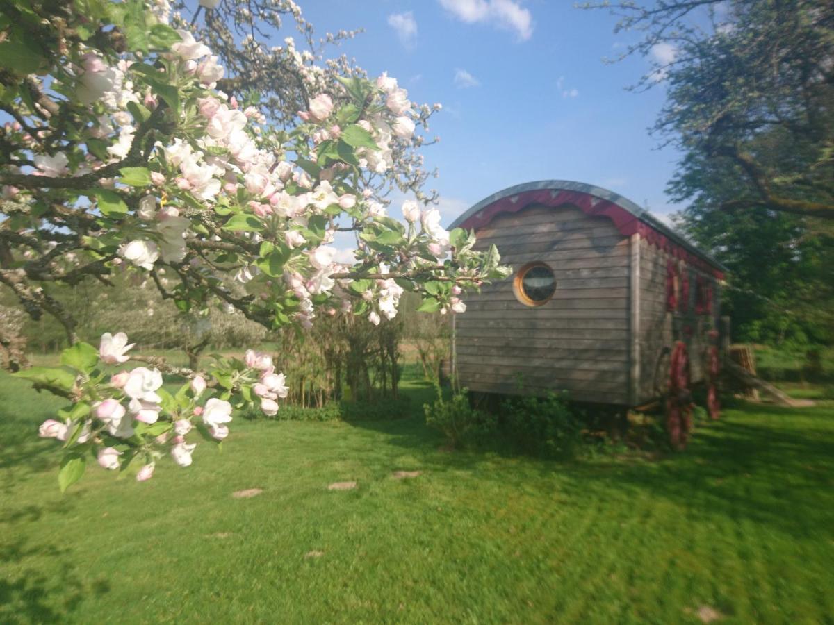 Bed and Breakfast Roulotte Le Temps De Rever Saint-Michel-sur-Meurthe Exteriér fotografie