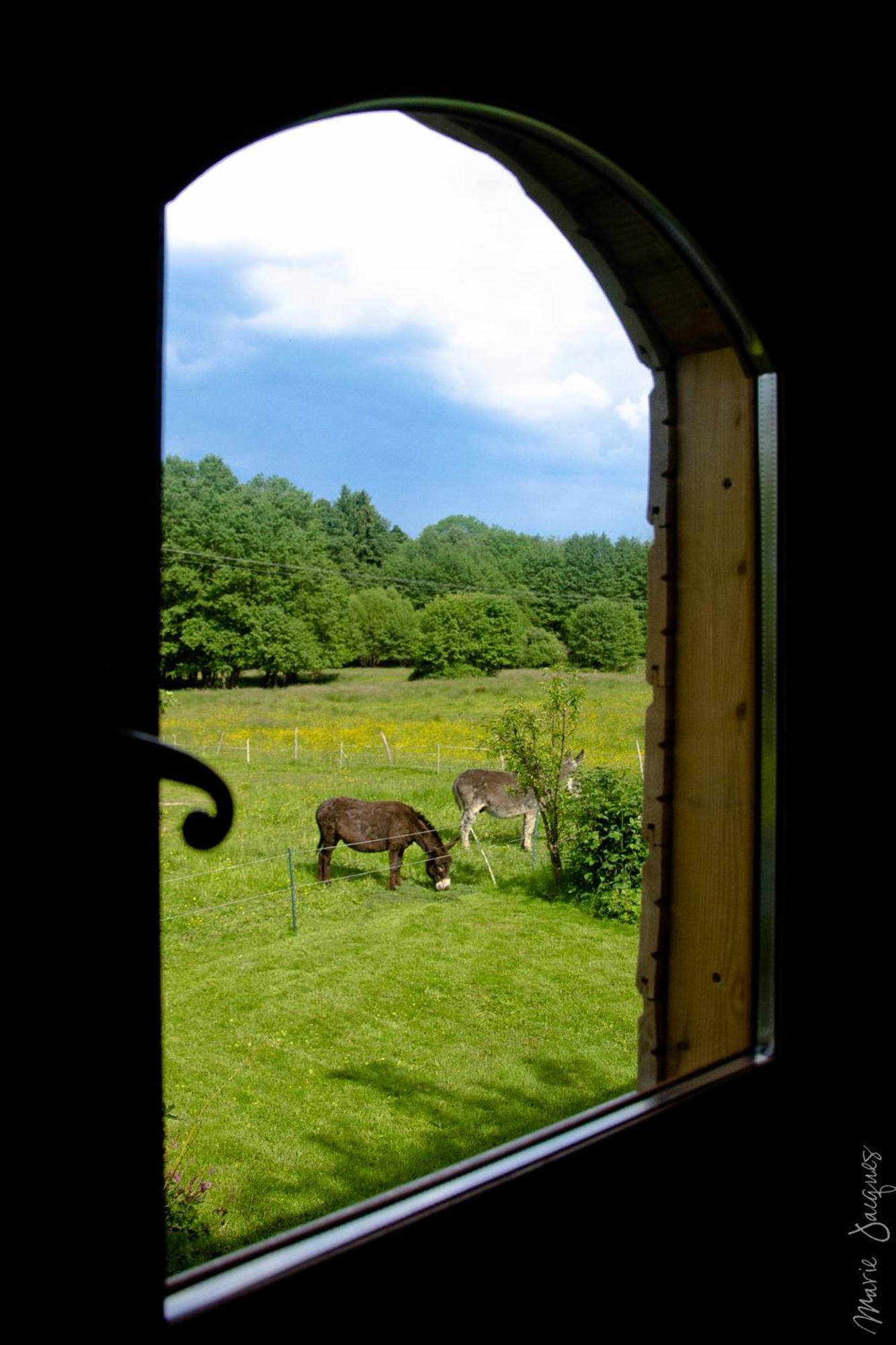 Bed and Breakfast Roulotte Le Temps De Rever Saint-Michel-sur-Meurthe Exteriér fotografie